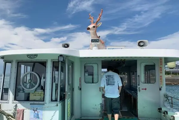 北条港の写真・動画_image_376443