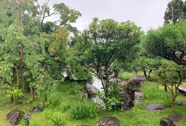 松山城二之丸史跡庭園の写真・動画_image_376471