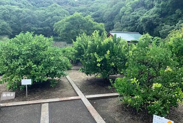 松山城二之丸史跡庭園の写真・動画_image_376479
