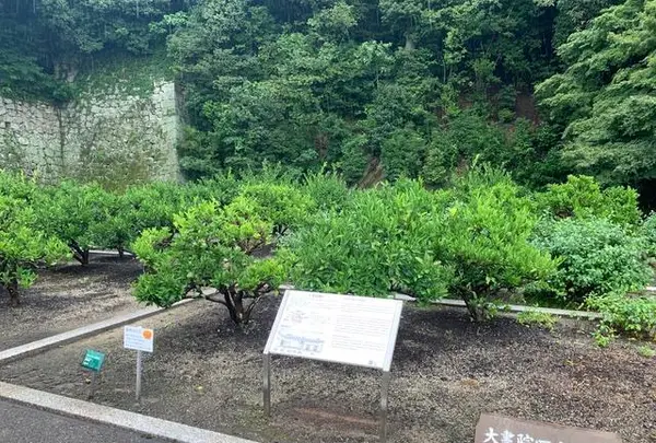 松山城二之丸史跡庭園の写真・動画_image_376489