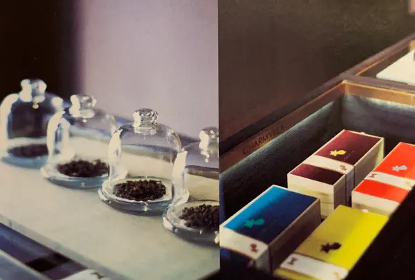 子村莊園 CHARM VILLAの写真・動画_image_376653