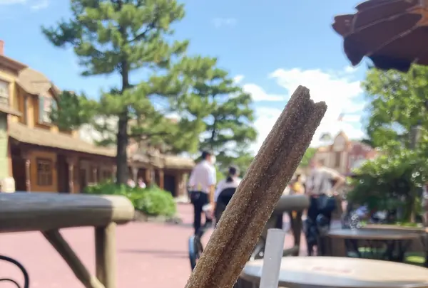 東京ディズニーリゾートの写真・動画_image_376742