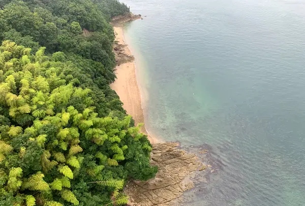 来島海峡大橋の写真・動画_image_376846