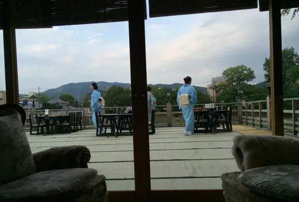 幾松の写真・動画_image_376941