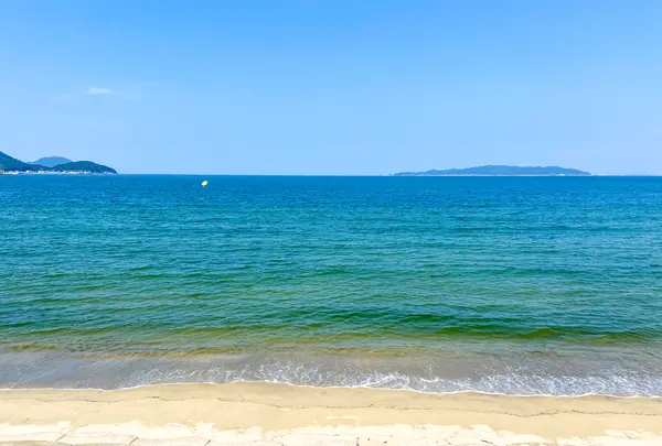 糸島食堂 本店の写真・動画_image_376983