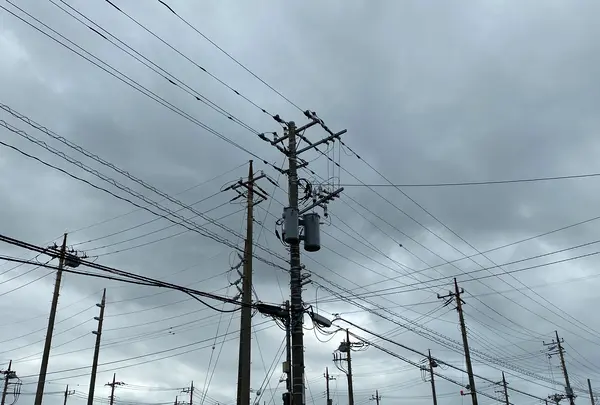 らーめん青龍の写真・動画_image_377255