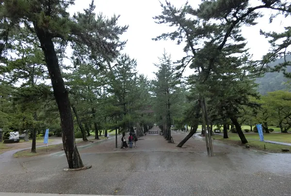 出雲大社の写真・動画_image_377394