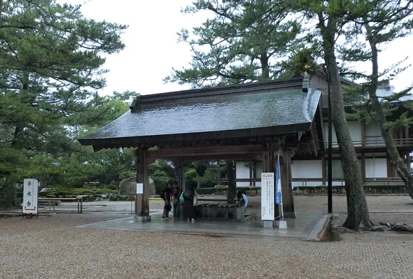 出雲大社の写真・動画_image_377395
