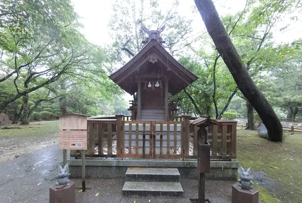 出雲大社の写真・動画_image_377399