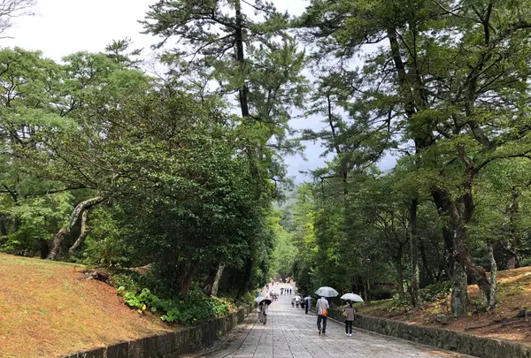 出雲大社の写真・動画_image_377406