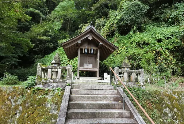 美保神社の写真・動画_image_377425