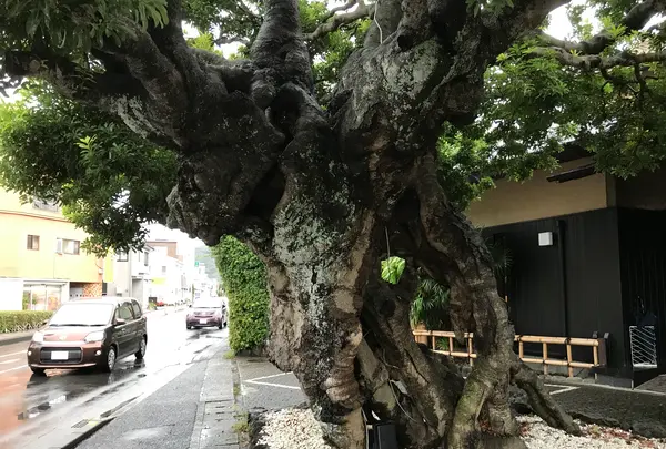 東海館の写真・動画_image_377658