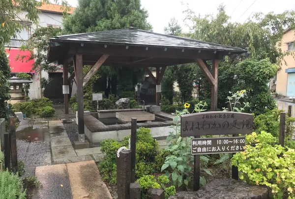 東海館の写真・動画_image_377660