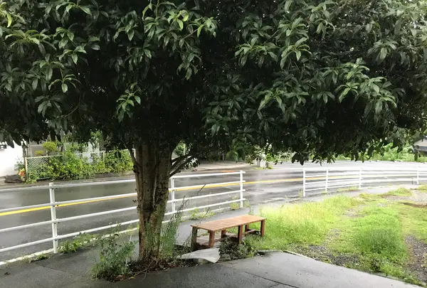 東海館の写真・動画_image_377665