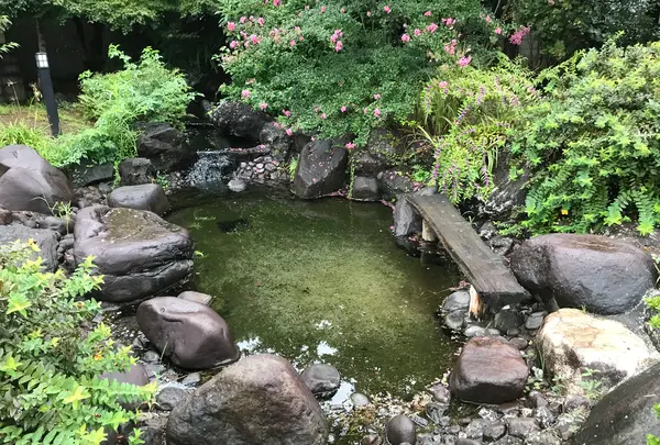 東海館の写真・動画_image_377668