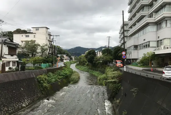 東海館の写真・動画_image_377671