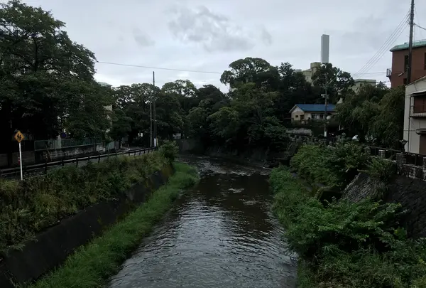 東海館の写真・動画_image_377672