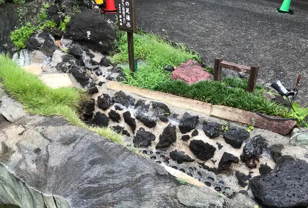 東海館の写真・動画_image_377673