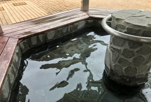 東海館の写真・動画_image_377680