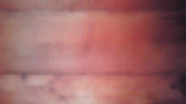 宝泉院の写真・動画_image_377897