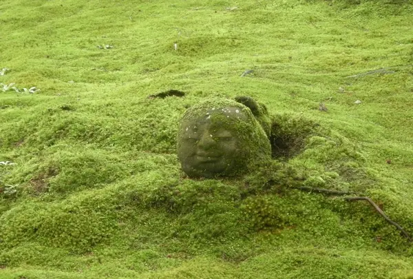 三千院の写真・動画_image_377904