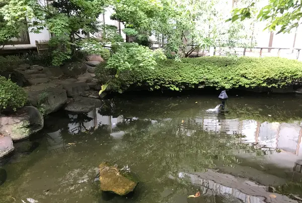 伊東園ホテル 松川館の写真・動画_image_377913