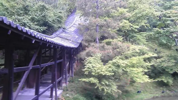 高台寺の写真・動画_image_377919