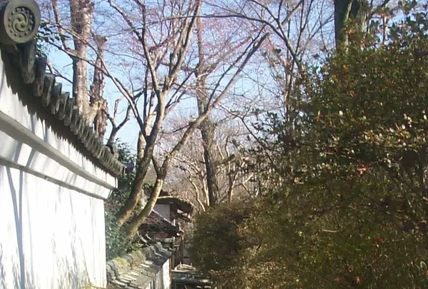 石山寺の写真・動画_image_377929