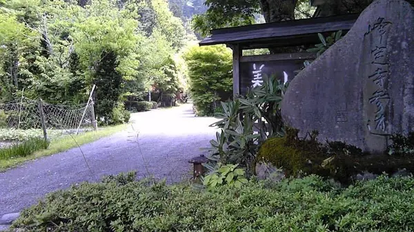 大悲山峰定寺の写真・動画_image_377955