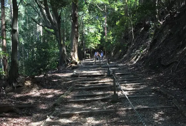 上醍醐寺の写真・動画_image_378032