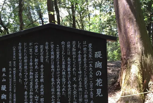 上醍醐寺の写真・動画_image_378034