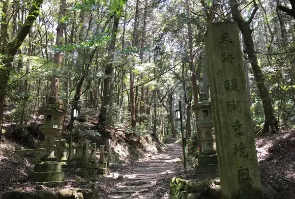 上醍醐寺の写真・動画_image_378036