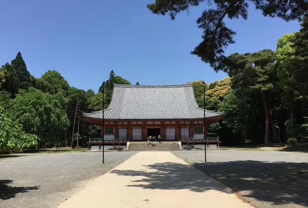 醍醐寺の写真・動画_image_378038