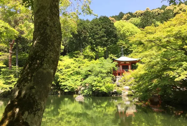 醍醐寺の写真・動画_image_378041