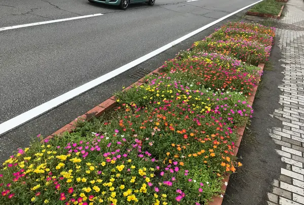 道の駅 伊東マリンタウンの写真・動画_image_378180