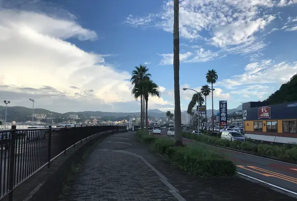 道の駅 伊東マリンタウンの写真・動画_image_378213