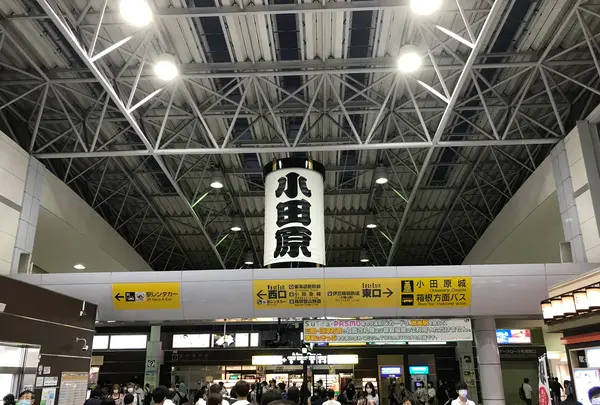 小田原城の写真・動画_image_378222