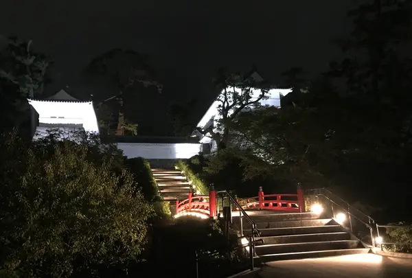 小田原城の写真・動画_image_378231