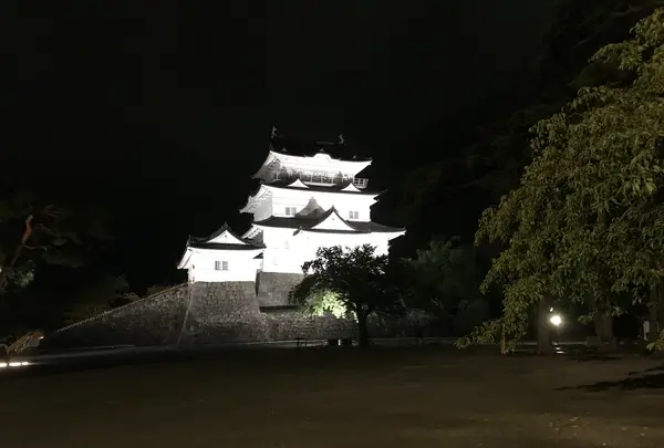 小田原城の写真・動画_image_378233