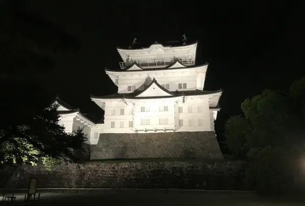 小田原城の写真・動画_image_378234