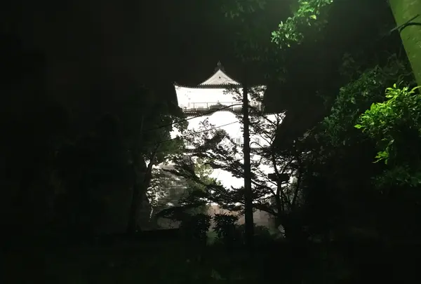 小田原城の写真・動画_image_378235