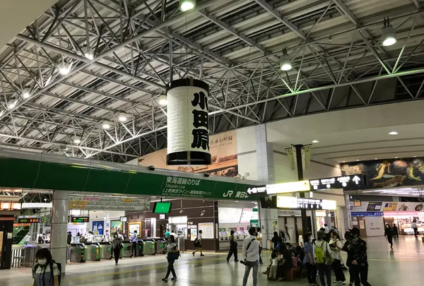 小田原城の写真・動画_image_378241