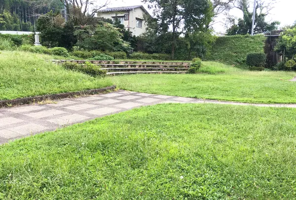 スギトピア公園の写真・動画_image_378398