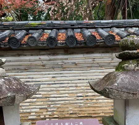 石清水八幡宮の写真・動画_image_378722