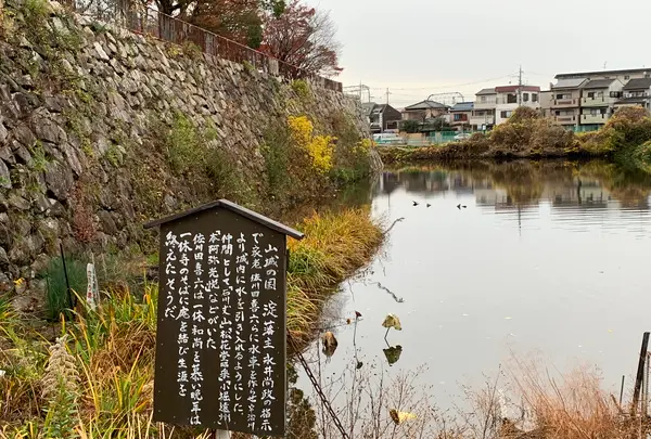 淀城跡公園の写真・動画_image_378729