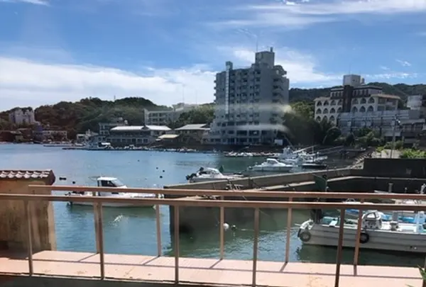 胡蝶蘭の写真・動画_image_378845