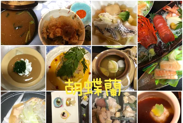 胡蝶蘭の写真・動画_image_378846