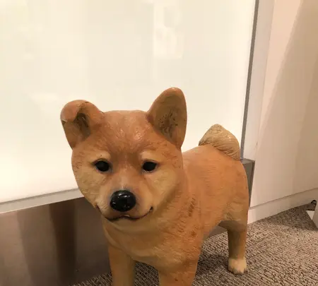 MieMu 三重県総合博物館の写真・動画_image_378852