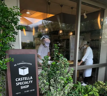 DE CARNERO CASTE Mieの写真・動画_image_378856