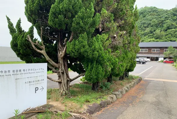 今治市 岩田健 母と子のミュージアムの写真・動画_image_378920